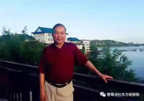 起舞唤神宝箱阵容搭配(幻境试炼阵容搭配攻略)插图3