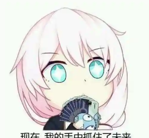 崩三黑希阵容搭配(崩坏三T0队伍搭配)插图8