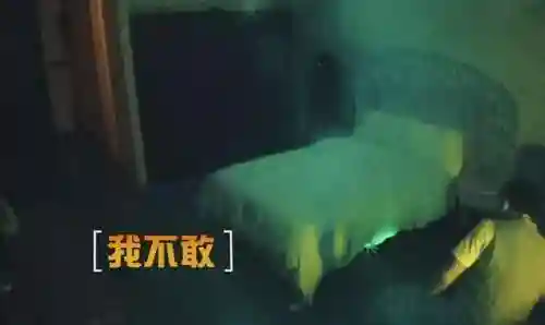 挑战鬼屋推荐阵容搭配图片(屋顶困难模式最佳阵容)插图16 挑战鬼屋推荐阵容搭配图片(屋顶困难模式最佳阵容)插图16