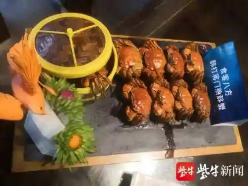 蟹王争霸怎么搭配阵容(海洋王国最强阵容搭配)插图3