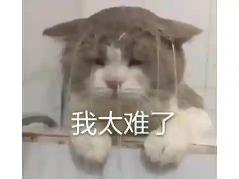 绝世邪神推倒女主角分别哪几章(九龙圣祖已推女主有几个)插图14