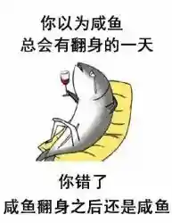 咸鱼之王最强冰封阵容搭配(闪烁之光最强阵容)插图8