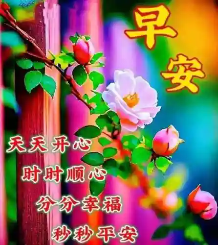 早安物语推荐阵容搭配图(心力物语最强阵容)插图2