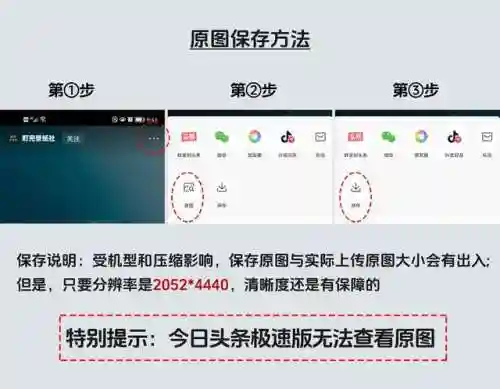 2023年最火壁纸图片大全大图(2024年手机壁纸图片)插图12