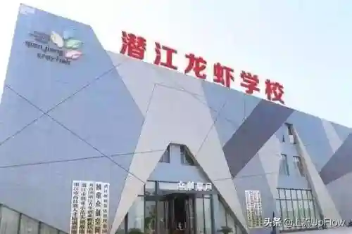 淡雅推塔阵容搭配最新(守塔不能停0氪最强阵容)插图14