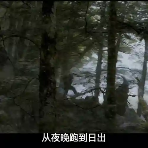 霍比特人2(霍比特人2在线观看免费国语)插图1
