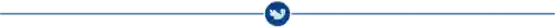 梦幻恐龙公园最强阵容搭配(梦幻龙乐园)插图11