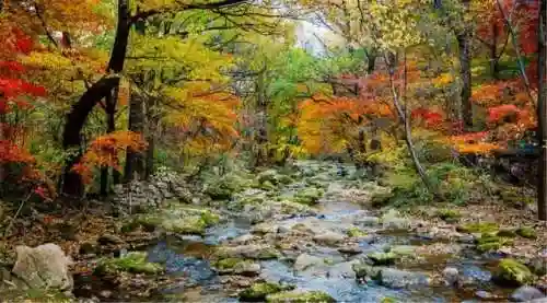 盘点水浒武将搭配阵容排行(豪情水浒最强阵容)插图5