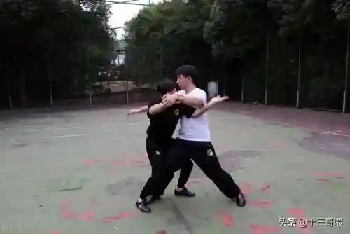 士兵格斗阵容搭配表大全(格斗家配什么阵容)