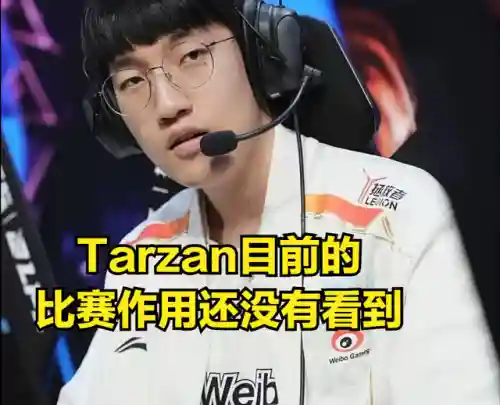 上单小虎阵容搭配最新(老虎适合什么阵容)插图6