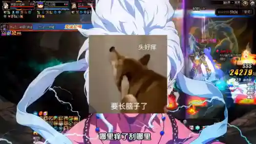 平民阿修罗怎么搭配阵容(一刀传世平民5职业最佳搭配)