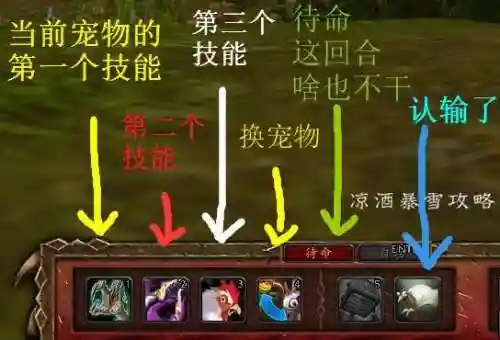 魔兽世界宠物对战怎么玩(wow宠物对战升级攻略)插图5