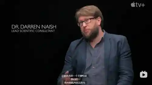 史前星球阵容搭配图表最新(走开外星人最强阵容)插图20