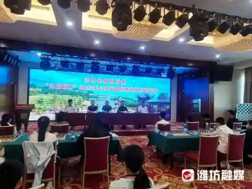 休闲跳棋对决阵容搭配图(跳棋棋盘图片)