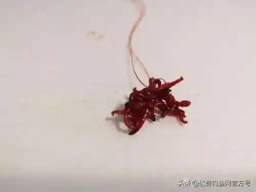 战双深红蚯蚓阵容搭配(战双帕弥什t0阵容)插图5