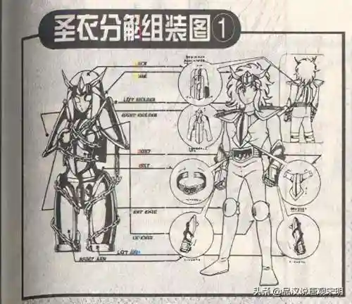 洛克王国华贵天鹅超进化(洛克王国巨翎天鹅亲密度)插图2
