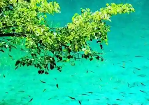 身临其境的意思(身临其境是形容什么的)