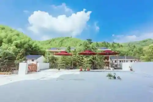 柴犬大部队阵容搭配(部落冲突阵容推荐)插图21