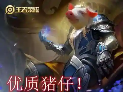 养猪流后羿 最强阵容搭配(后羿最强肉装出装)