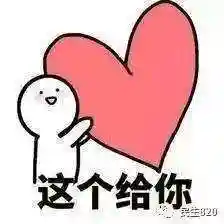 夏季厕所里的秘密安卓冷狐(夏日公园冷狐直装版免费)插图2