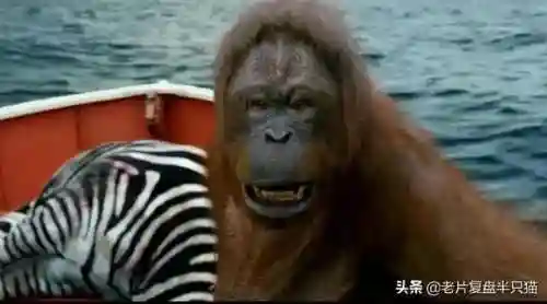 少年派的奇幻漂流(少年派隐喻深度解析)插图18
