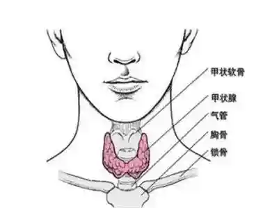 纪智天使善阵容搭配(纪灵骑最强阵容推荐)插图5