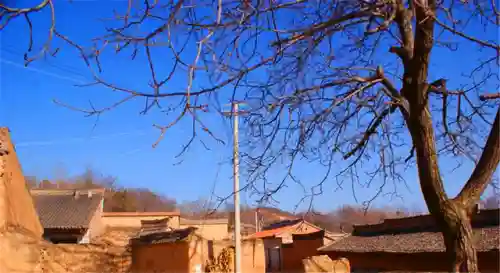 阴阳师白虎搭配阵容(阴阳师平民最佳阵容)插图1