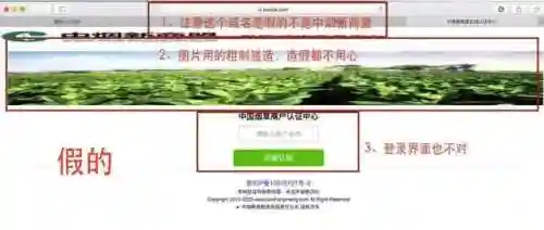 中烟新商盟登录(96368新商盟登录)插图4