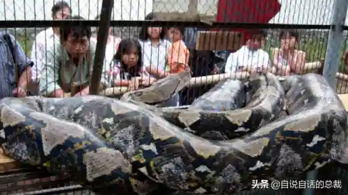 远古巨兽大复活(上古神兽饕餮电影免费)插图44 远古巨兽大复活(上古神兽饕餮电影免费)插图44