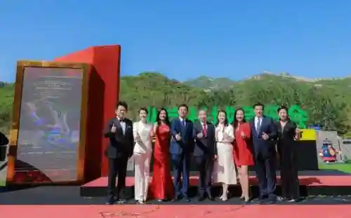 般兵灯阵容怎么搭配(先登弓最强阵容怎么搭配)插图13