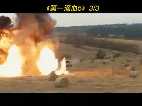 第一滴血5(第一滴血6电影国语免费)