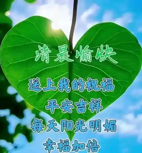 早安物语推荐阵容搭配图(心力物语最强阵容)插图12