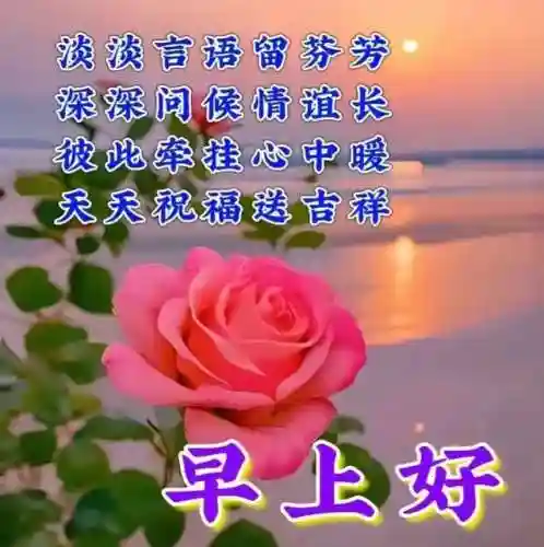 早安物语推荐阵容搭配图(心力物语最强阵容)插图4