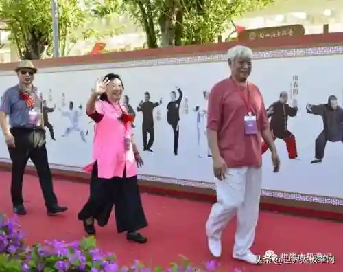 太极演员阵容搭配图片(云太极新款太极表演服装)插图14