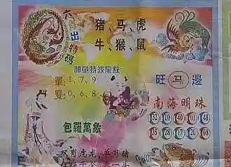 香港最准一码中持资料(管家婆精准资料大全软件用法)插图2