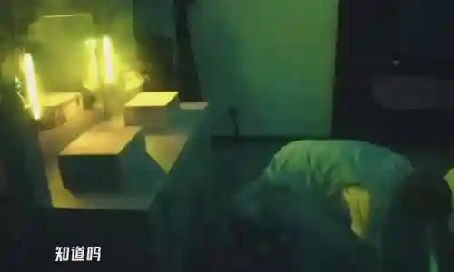 挑战鬼屋推荐阵容搭配图片(屋顶困难模式最佳阵容)插图17 挑战鬼屋推荐阵容搭配图片(屋顶困难模式最佳阵容)插图17