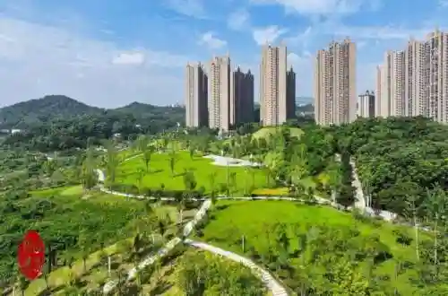 奇迹五王阵容搭配图(奇迹mu最强者)插图1