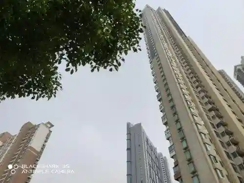 天域鬼泣搭配阵容推荐(云顶之弈阵容搭配图表)插图33