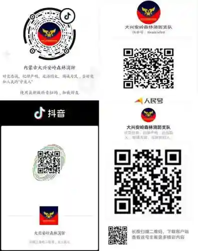 王者荣耀战斗精神阵容搭配(王者荣耀武道大会最强阵容)插图5