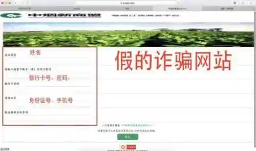 中烟新商盟登录(96368新商盟登录)插图7