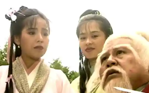 虚竹大战梅兰竹菊(梅兰竹菊帮虚竹生几个孩子)插图4