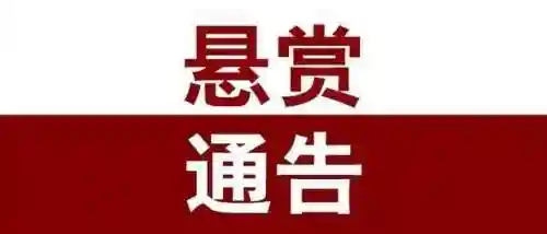 54级平民悬赏阵容搭配(放置奇兵平民最佳搭配)