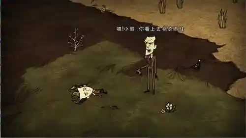 手机版饥荒海滩中文版(饥荒海难正版下载手机版)插图1