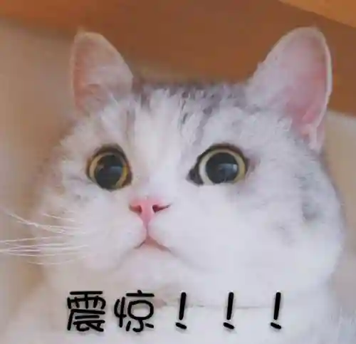 完美火毒阵容搭配攻略(最强6人火毒阵容)插图5