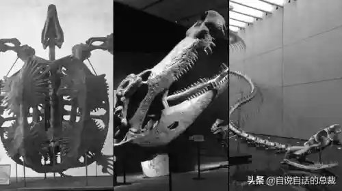 远古巨兽大复活(上古神兽饕餮电影免费)插图64 远古巨兽大复活(上古神兽饕餮电影免费)插图64