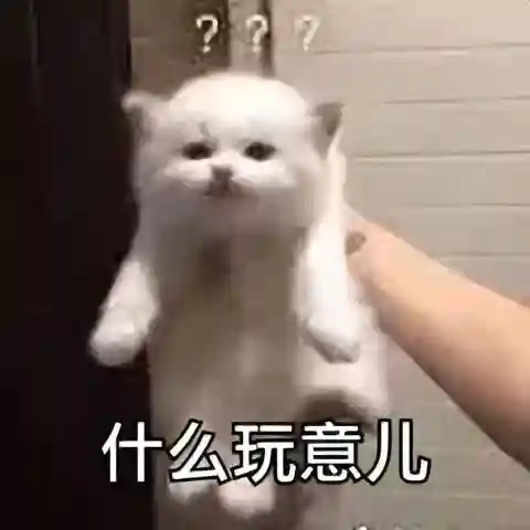 诺基亚5230什么时候上市的(诺基亚所有机型一览表)插图13