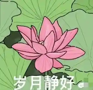 诺基亚5230什么时候上市的(诺基亚所有机型一览表)插图4