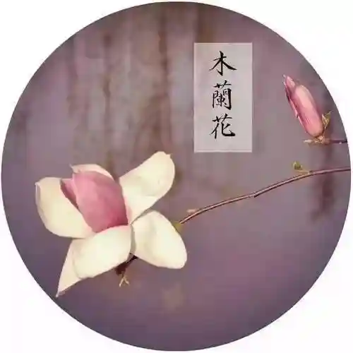 原神纳兰阵容搭配攻略(神法阵容)插图6