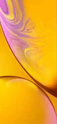 最流行的手机壁纸(干净清爽风景壁纸)插图19