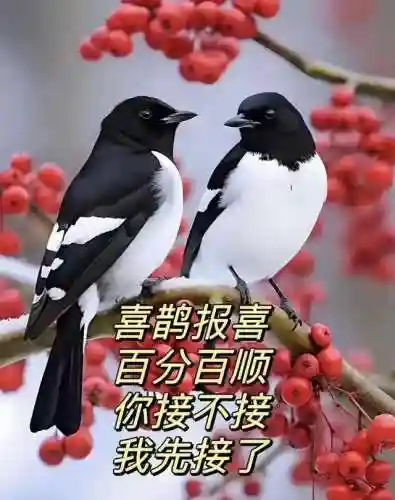 涅槃重生阵容搭配推荐图(迪奥娜阵容搭配平民)插图37